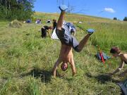 pitchfork