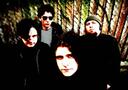 Grupa "Dead Next Door"