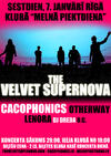 "The Velvet Supernova" un "Cacophonics"