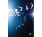 Animal Jazz (Bilde nr.4)