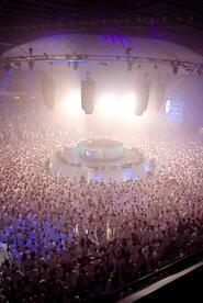 "Sensation White" - Love (Bilde nr.1)