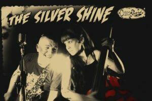 Silver Shine  (Bilde nr.1)