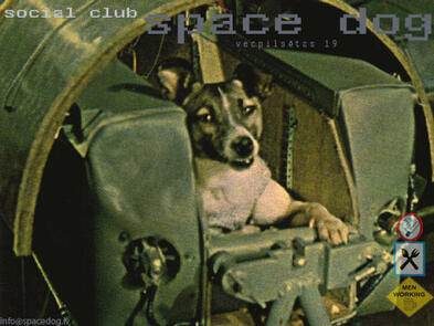 Space dog (Bilde nr.1)