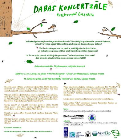 Dabas koncertzāle: Phylloscopus collybita (Bilde nr.1)